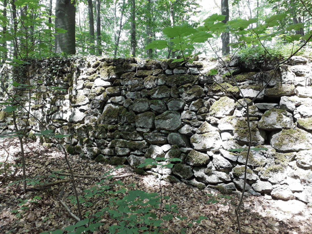 Klostermauer Heisterbach